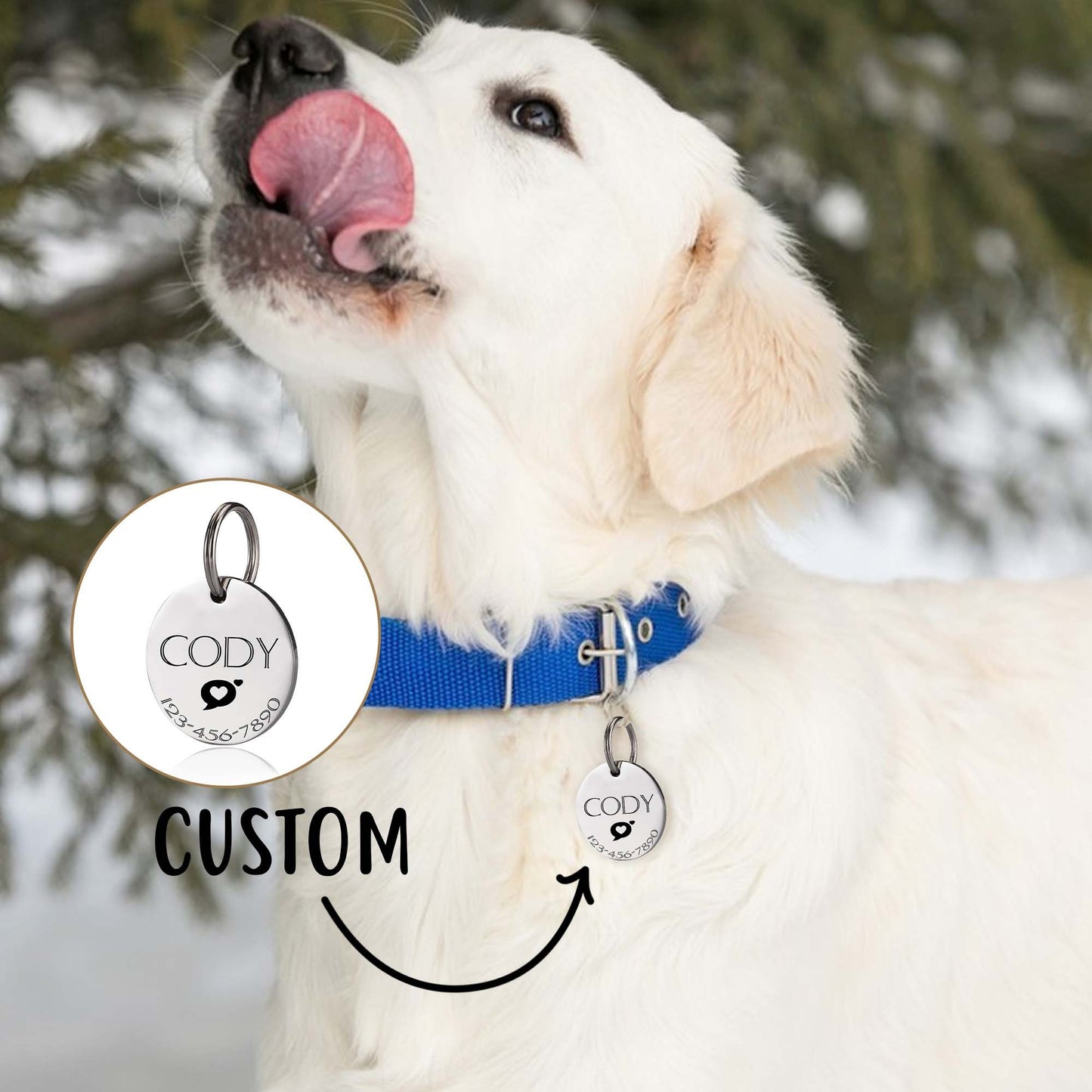 Custom Dog Tag, Personalized Dog Name Tag, Pet Tag, Pet ID Tag, Round Cat Tag, Engraved Dog and Cat ID Tag on Front, Stainless Steel Dog Tag