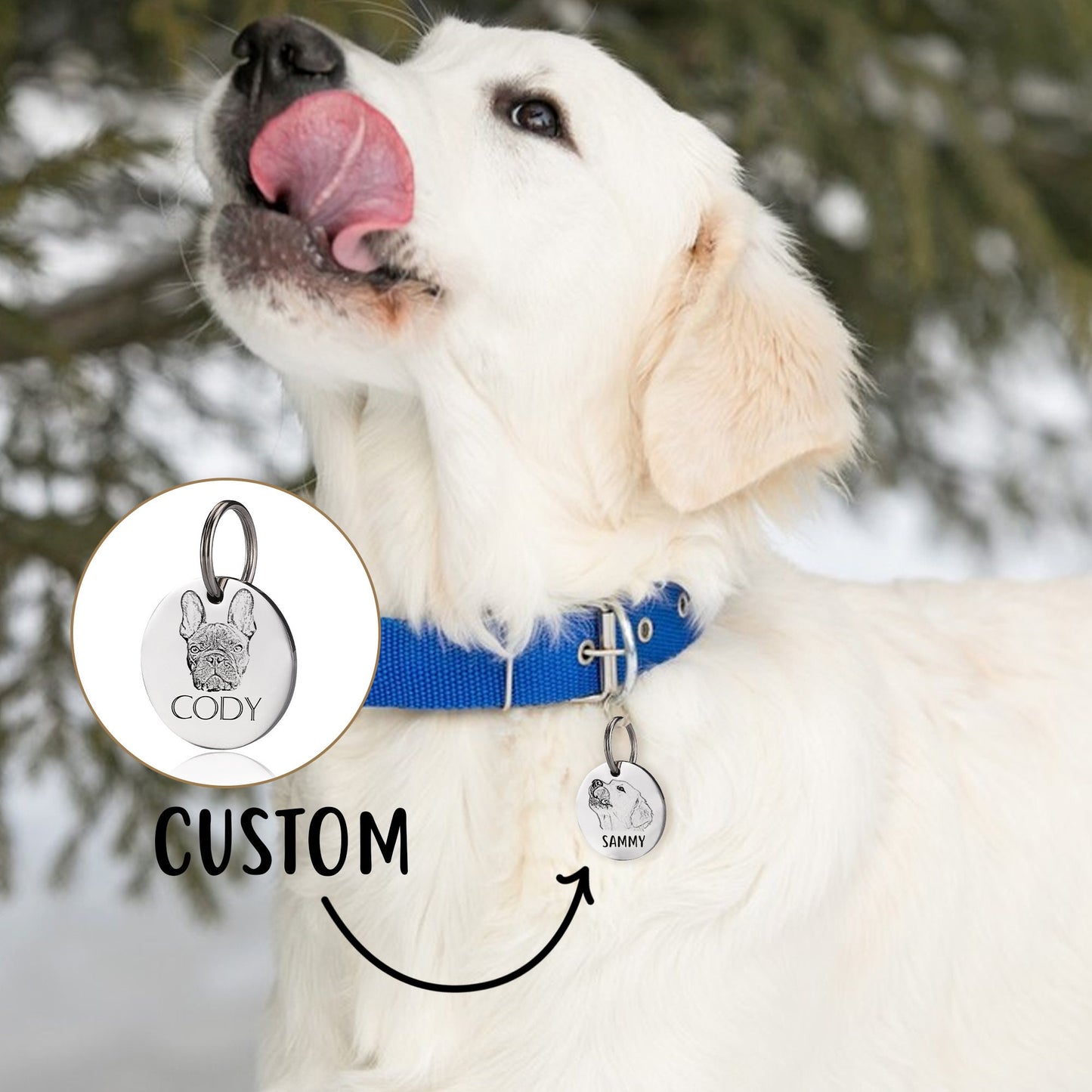 Custom Photo Dog Tag, Personalized Dog Tag, Pet Name Tag, Dog and Cat ID Tag, Stainless Steel Pet Tag, Round Cat Tag, Custom Pet Collar Tag