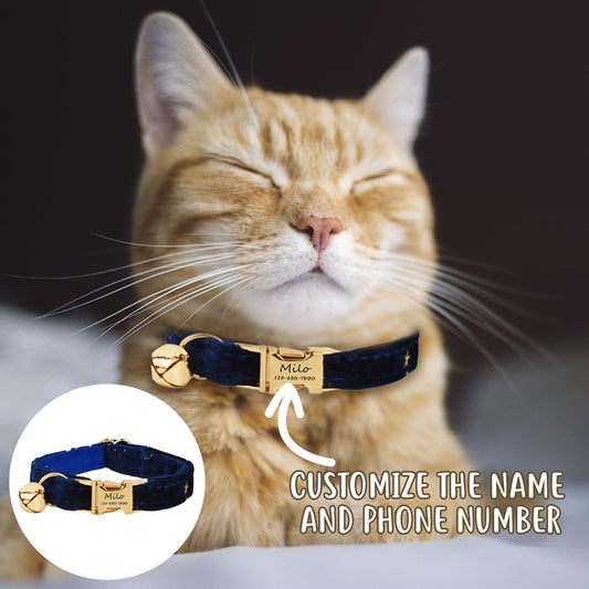 1 PCS Personalized Gold Star Luxury Velvet Pet Cat Collar with Bell Customized Name and Phone Number - Prevent Your Pet from Getting Lost