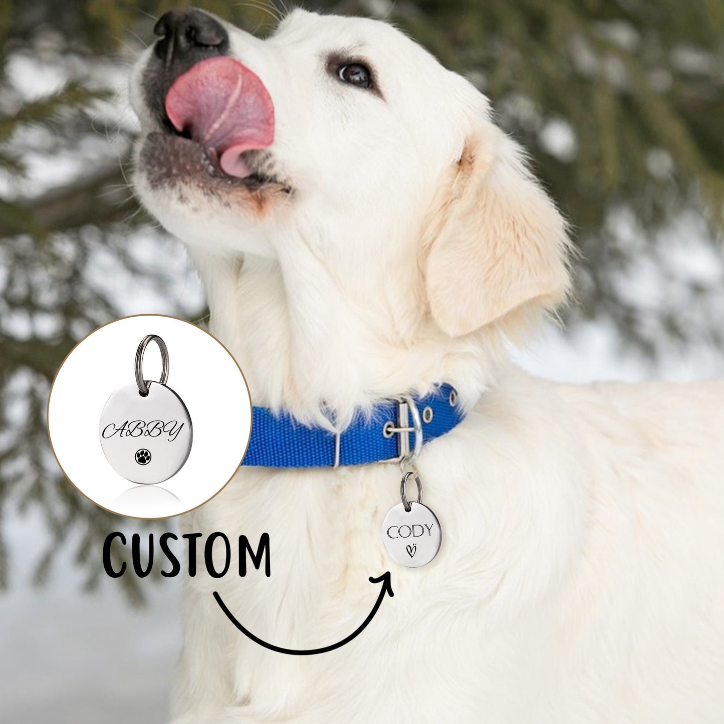 Dog Collar Tag, Dog Tag, Custom Pet Tag, Personalized Cat Tag, Dog Name Tag, Cat ID Tag, Engraved Pet Tag on Front and Back, Round Dog Tag