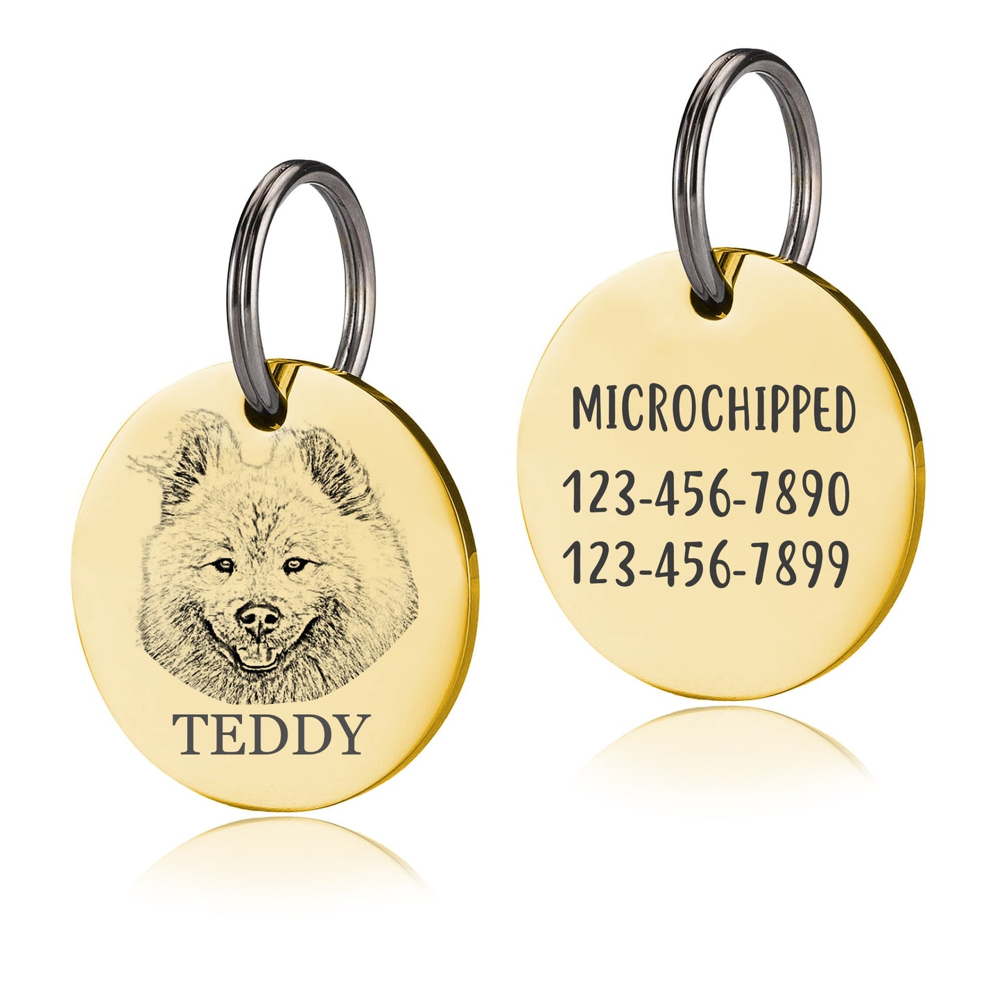 Custom Photo Dog Tag, Personalized Dog Tag, Pet Name Tag, Dog and Cat ID Tag, Stainless Steel Pet Tag, Round Cat Tag, Custom Pet Collar Tag